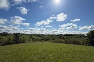 32 28 Ac Chipman Ridge Rd, Williamstown, KY 41097 - Photo 2