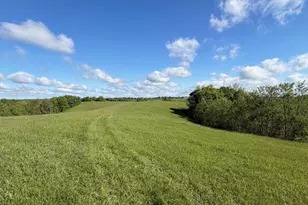 32 28 Ac Chipman Ridge Rd, Williamstown, KY 41097 - Photo 1
