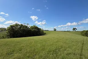 32 28 Ac Chipman Ridge Rd, Williamstown, KY 41097 - Photo 8