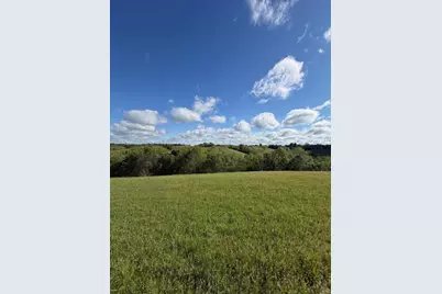 32.28 Ac Chipman Ridge Road, Williamstown, KY 41097 - Photo 10
