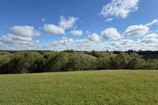 32 28 Ac Chipman Ridge Rd, Williamstown, KY 41097 - Photo 10