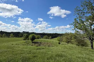 6 93 Ac Chipman Ridge Rd, Williamstown, KY 41097 - Photo 8