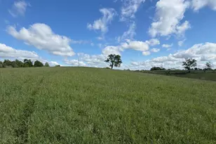 6 93 Ac Chipman Ridge Rd, Williamstown, KY 41097 - Photo 6