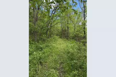 3486 Rankin Mill Road, Falmouth, KY 41040 - Photo 42