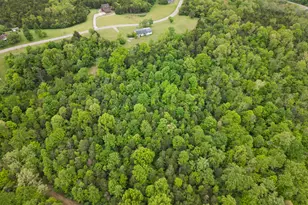 609 Concord Caddo Rd, Falmouth, KY 41040 - Photo 14