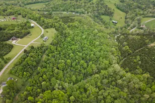 609 Concord Caddo Rd, Falmouth, KY 41040 - Photo 16