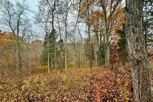 530 Rankin Mill Rd, Falmouth, KY 41040 - Photo 40
