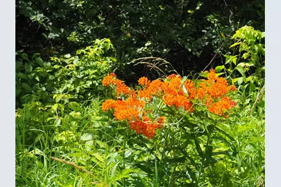 8185 Camp Ernst Road, Burlington, KY 41005 - Photo 12