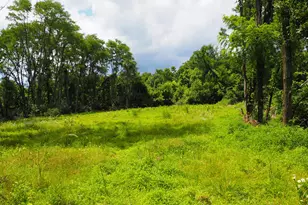 8185 Camp Ernst Rd, Burlington, KY 41005 - Photo 1