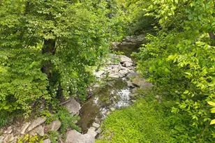 1060 Old 19, Augusta, KY 41002 - Photo 46