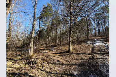 00 Pleasant View Cemetery Road, Corinth, KY 41010 - Photo 22