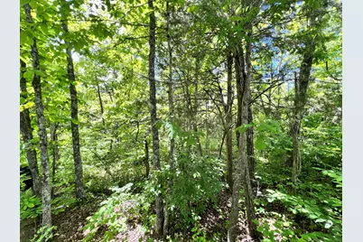 6710 Lawrenceville Road, Williamstown, KY 41097 - Photo 50