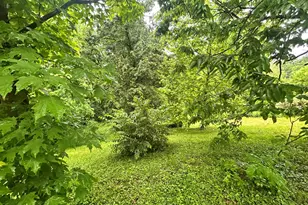 806 Cox Rd, Independence, KY 41051 - Photo 30