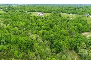 242 Belmont Rd, Brooksville, KY 41004 - Photo 42