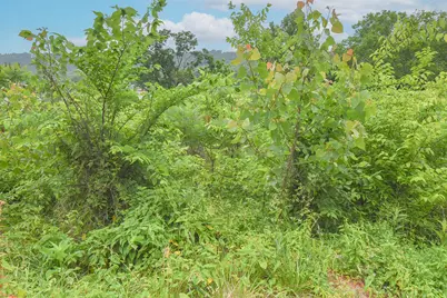 4768 River Road, Hebron, KY 41048 - Photo 8