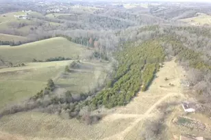 283 Jacobs Rd, Butler, KY 41006 - Photo 14