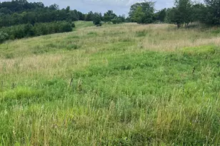 283 Jacobs Rd, Butler, KY 41006 - Photo 8