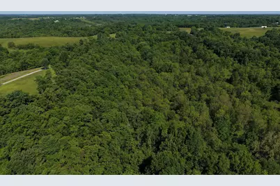 0 Crockett Lane, Mount Olivet, KY 41064 - Photo 8