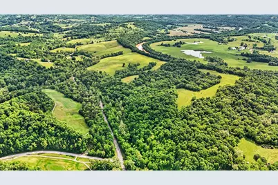 95 Acres Hwy 159 & Grimes Rd, Falmouth, KY 41040 - Photo 18