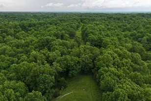 1315 Caney Creek Rd, Owenton, KY 40359 - Photo 16