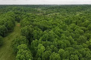 1315 Caney Creek Rd, Owenton, KY 40359 - Photo 20