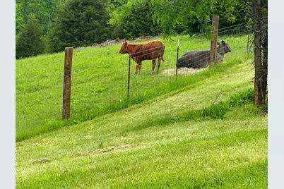 8530 Hwy 22 East, Owenton, KY 40359 - Photo 12