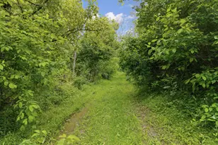 925 Lockmier Rd, Augusta, KY 41002 - Photo 8
