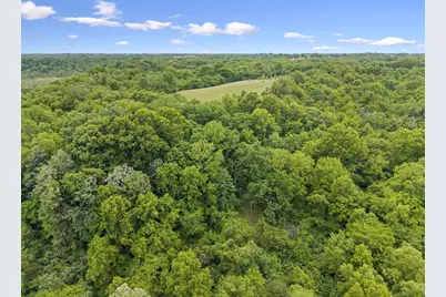 925 Lockmier Road, Augusta, KY 41002 - Photo 46