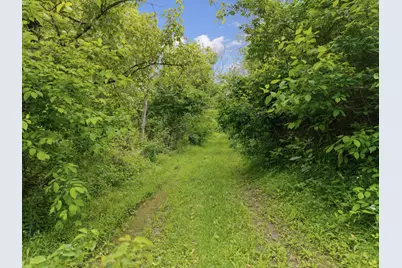 925 Lockmier Road, Augusta, KY 41002 - Photo 14