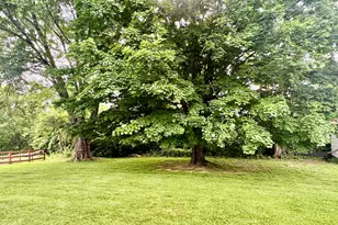 306 Sunset Dr, Williamstown, KY 41097 - Photo 24