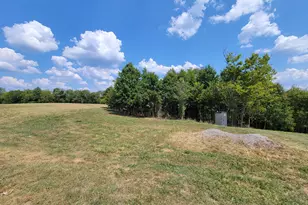 220 Old Eagle Tunl Rd, Glencoe, KY 41046 - Photo 44