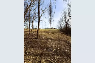 0.55 Ac N N Main Street, Williamstown, KY 41097 - Photo 4