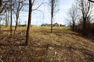 0 55 Ac N N Main St, Williamstown, KY 41097 - Photo 4