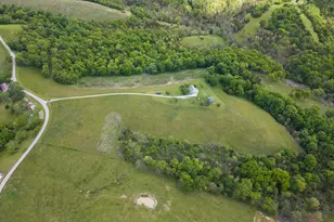 270 Shiloh Rd, Corinth, KY 41010 - Photo 34