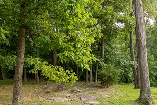 2059 Arbor Springs Blvd, Union, KY 41091 - Photo 28