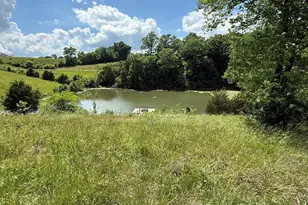3958 Hwy 1130, Sanders, KY 41083 - Photo 8