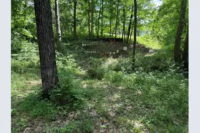 3958 Hwy 1130, Sanders, KY 41083 - Photo 20