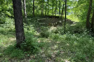3958 Hwy 1130, Sanders, KY 41083 - Photo 14