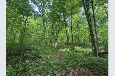 8275 Kentucky 10, Falmouth, KY 41040 - Photo 8