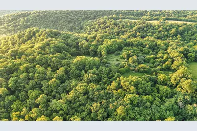 480 Ac Dietrich Road, Dover, KY 41034 - Photo 10