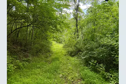 480 Ac Dietrich Road, Dover, KY 41034 - Photo 20