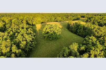 480 Ac Dietrich Road, Dover, KY 41034 - Photo 6