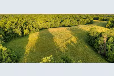 480 Ac Dietrich Road, Dover, KY 41034 - Photo 4