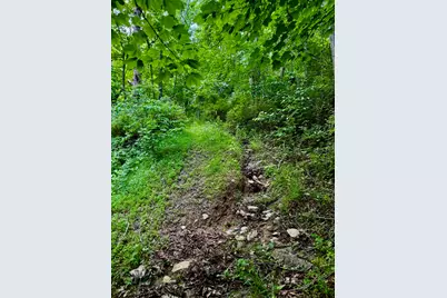 480 Ac Dietrich Road, Dover, KY 41034 - Photo 44