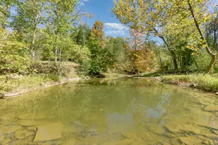 3910 Taft Hwy, Dry Ridge, KY 41035 - Photo 42