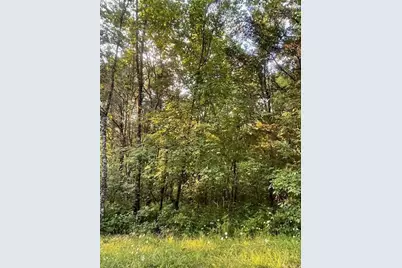 .34 Acre Buckeye Hills Road, Falmouth, KY 41040 - Photo 6