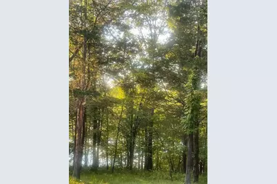 .34 Acre Buckeye Hills Road, Falmouth, KY 41040 - Photo 1