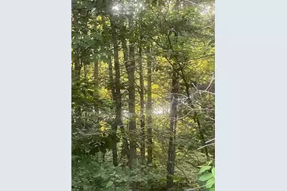.34 Acre Buckeye Hills Road, Falmouth, KY 41040 - Photo 4