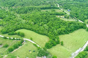 242 Belmont Rd, Brooksville, KY 41004 - Photo 2
