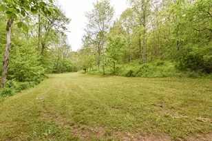 242 Belmont Rd, Brooksville, KY 41004 - Photo 24